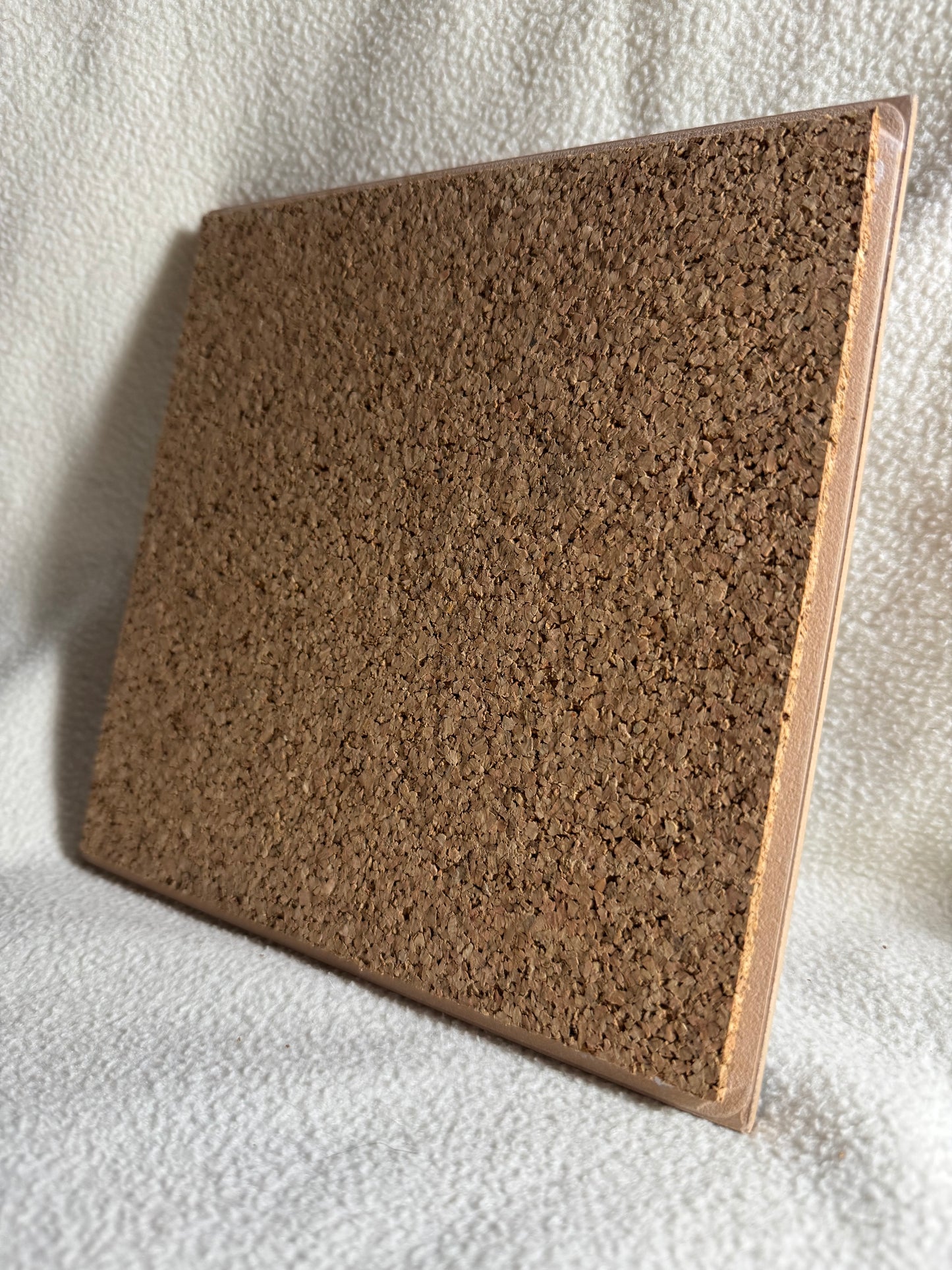 Chihuahua light brown